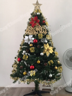 combo-cay-thong-noel