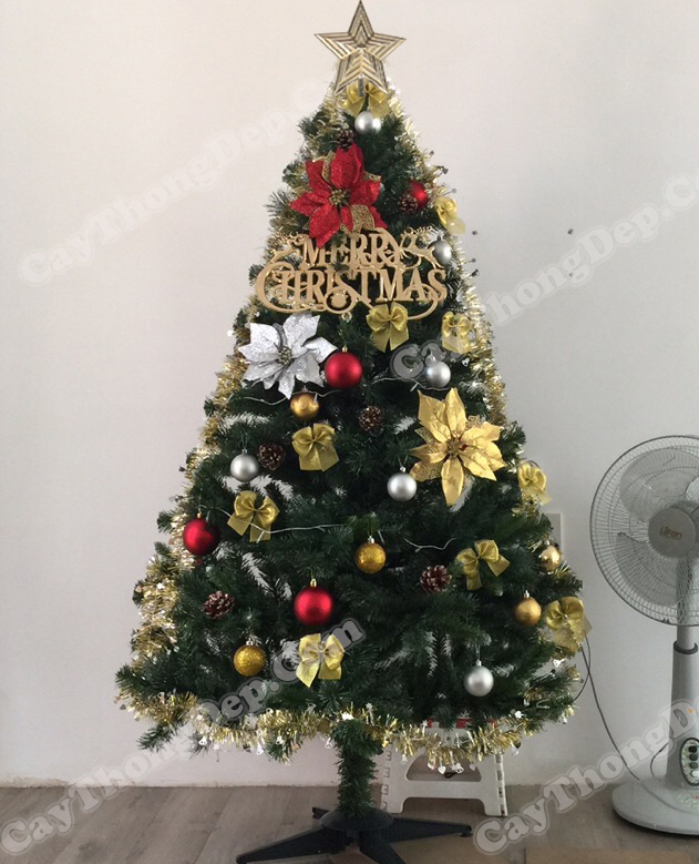 combo-cay-thong-noel