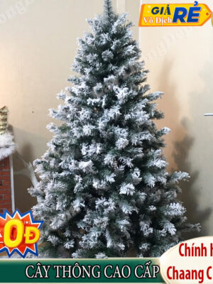 CÂY THÔNG NOEL PHỦ TUYẾT