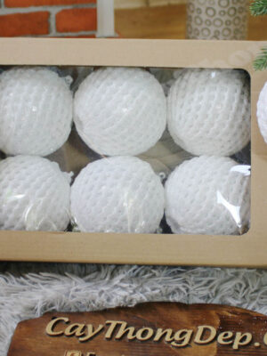 HOP-6-CHAU-LUOI-9CM-TRANG