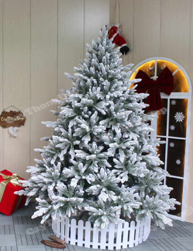CÂY THÔNG NOEL
