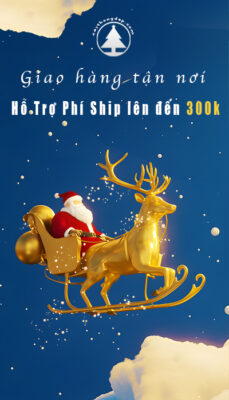 free-ship-cay-thong-dep