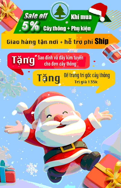 qua-tang-noel-cay-thong-dep